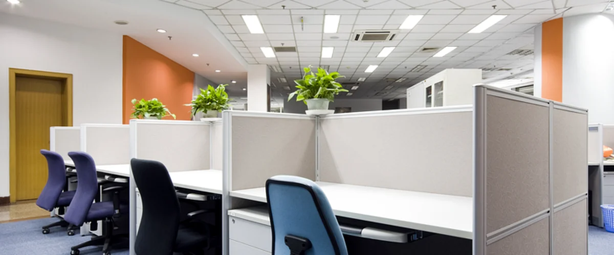 commercial painting modern office interior with blue carpet cubicles ergonomic chairs and plants