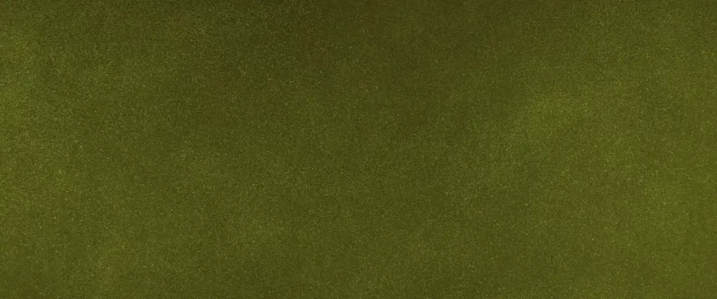 a texture of a green hidden trails wall paint