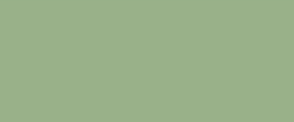 sage green color wall paint